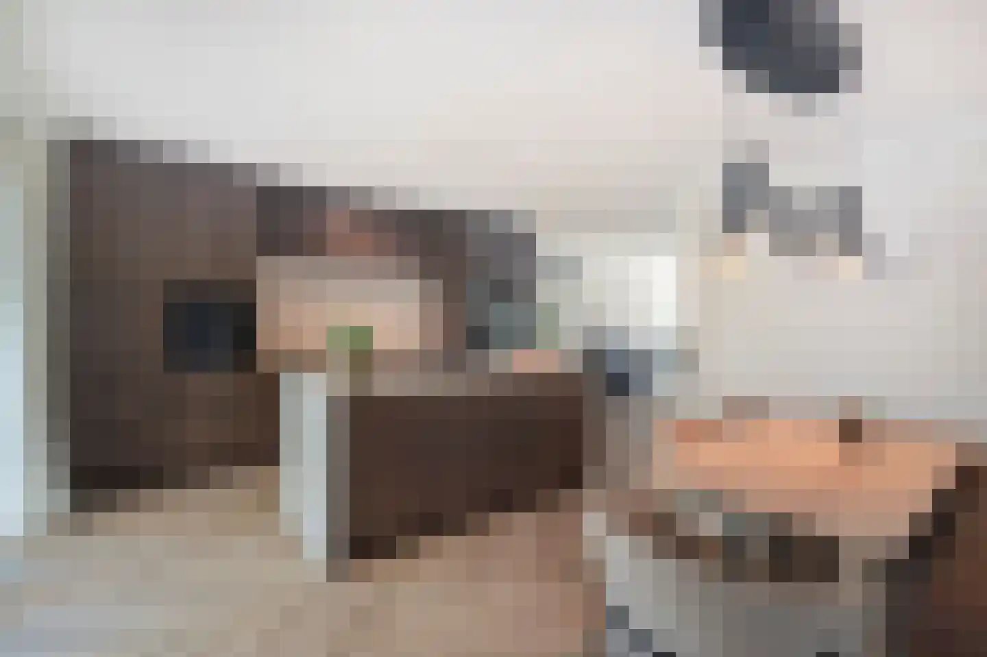 Zeis 5 't Zand foto 2