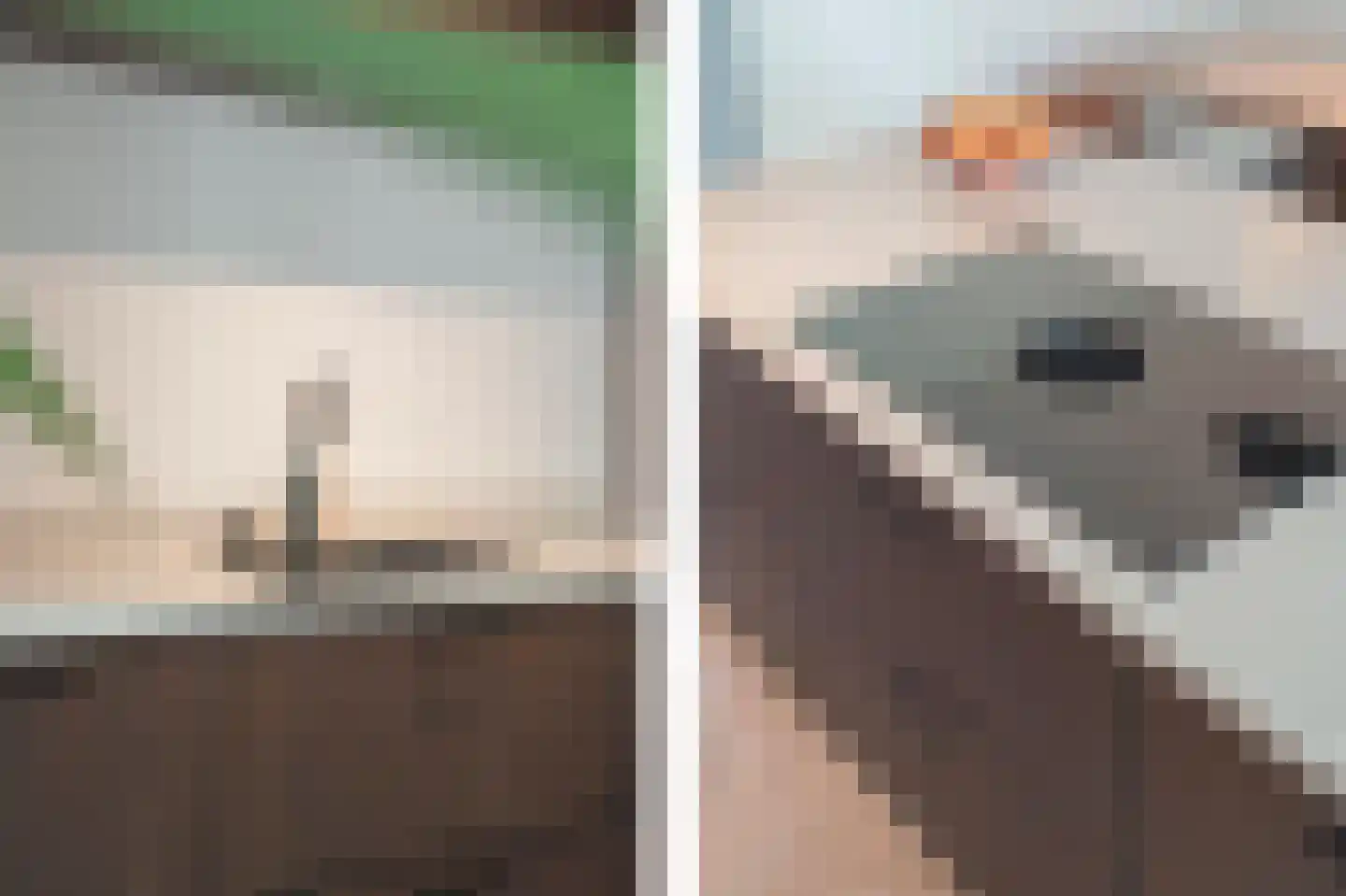 Zeis 5 't Zand thumbnail 21