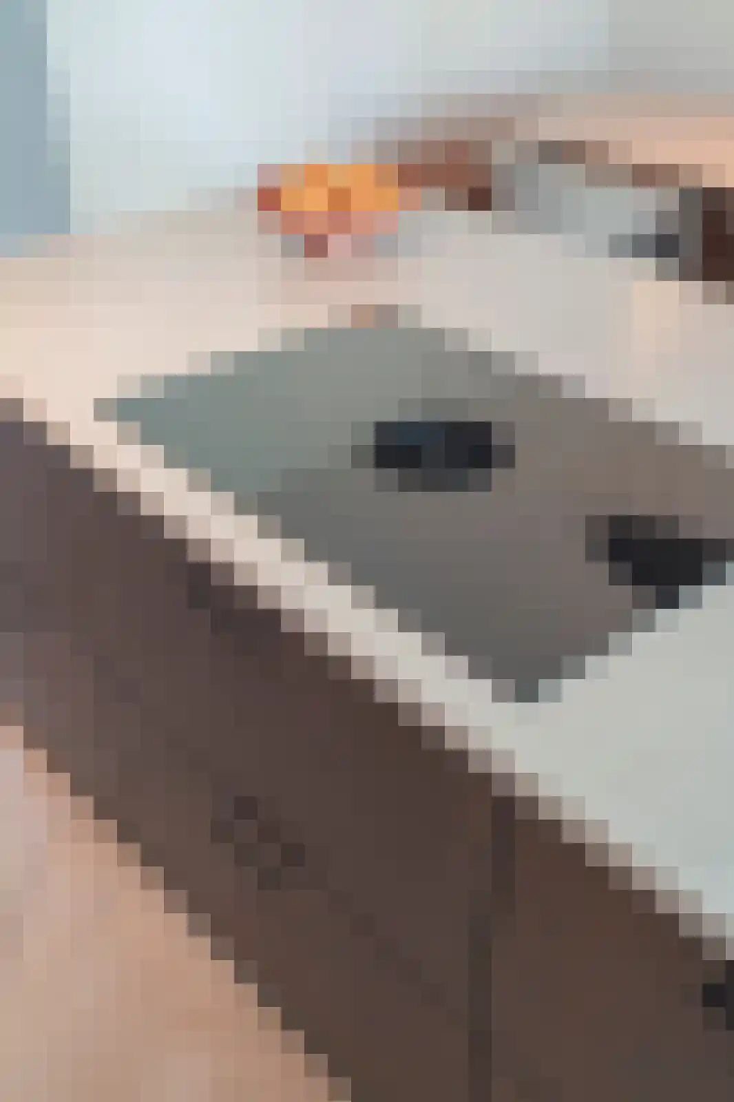 Zeis 5 't Zand thumbnail 23
