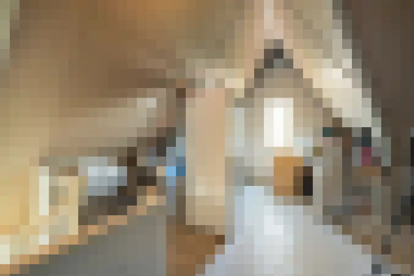 Zeis 5 't Zand thumbnail 41