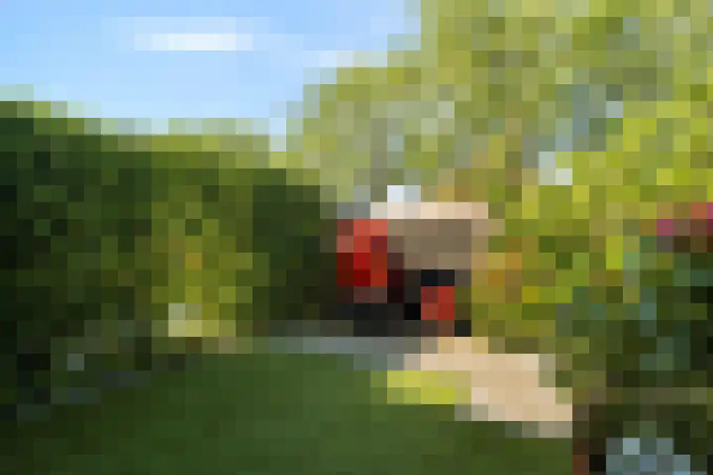Zeis 5 't Zand thumbnail 49