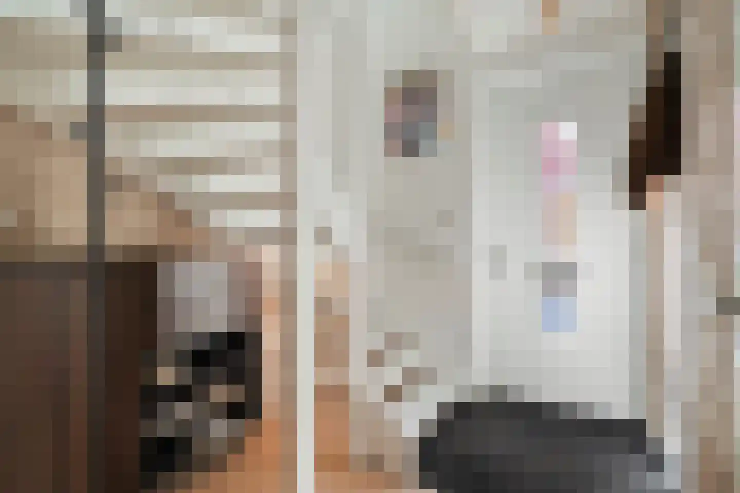 Zeis 5 't Zand thumbnail 5