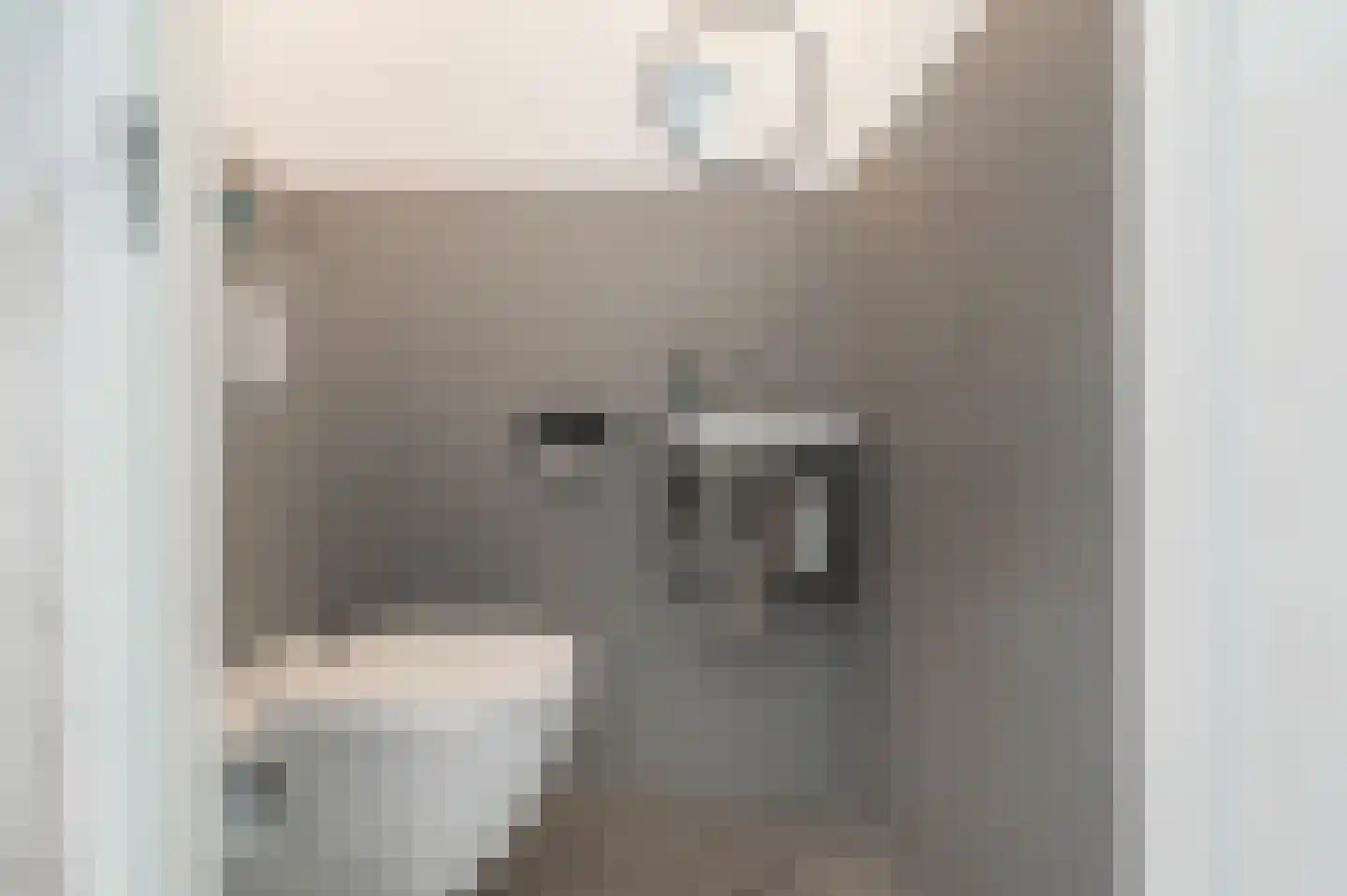 Zeis 5 't Zand thumbnail 7