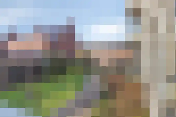 Zeis 6 Hendrik-Ido-Ambacht thumbnail 18