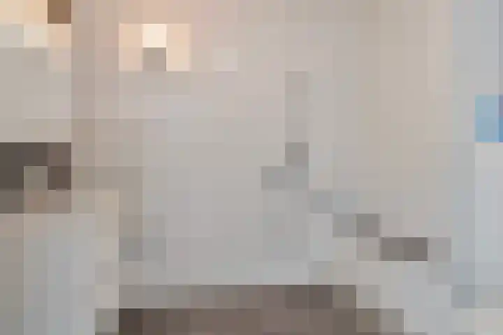 Zeis 6 Hendrik-Ido-Ambacht thumbnail 21