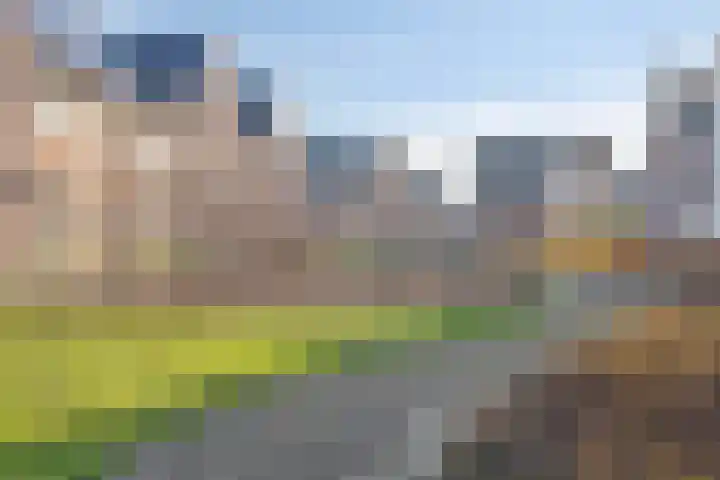 Zeis 6 Hendrik-Ido-Ambacht thumbnail 27