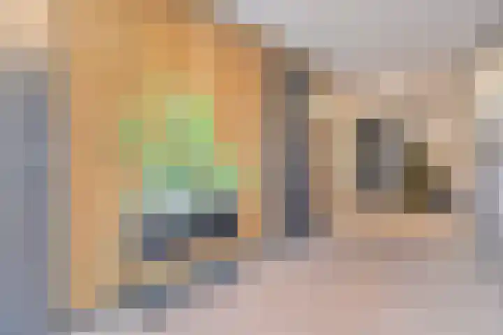 Zeis 6 Hendrik-Ido-Ambacht thumbnail 5