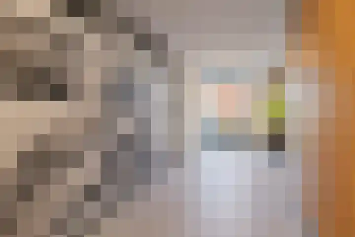 Zeis 6 Hendrik-Ido-Ambacht thumbnail 6