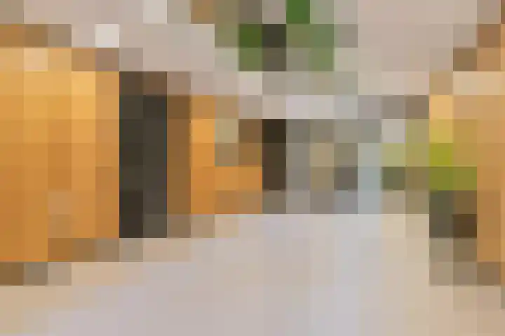 Zeis 6 Hendrik-Ido-Ambacht thumbnail 9