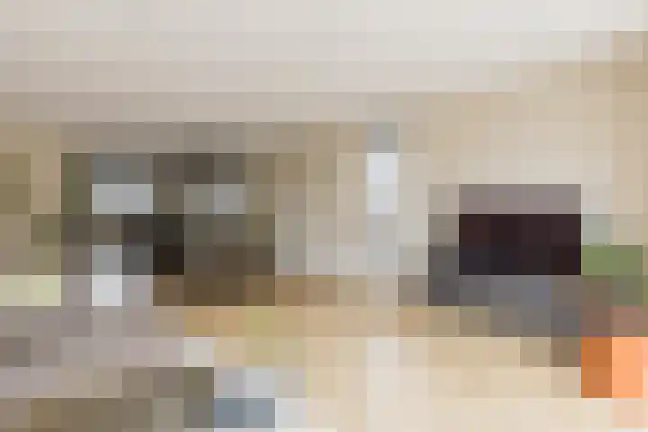 Zeis 6 't Zand thumbnail 13