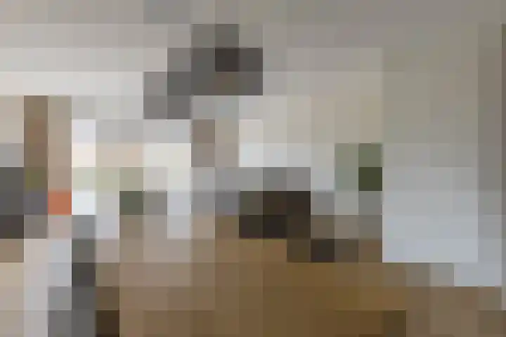 Zeis 6 't Zand thumbnail 14