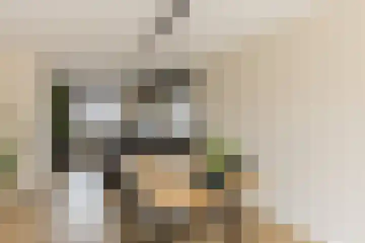 Zeis 6 't Zand thumbnail 16