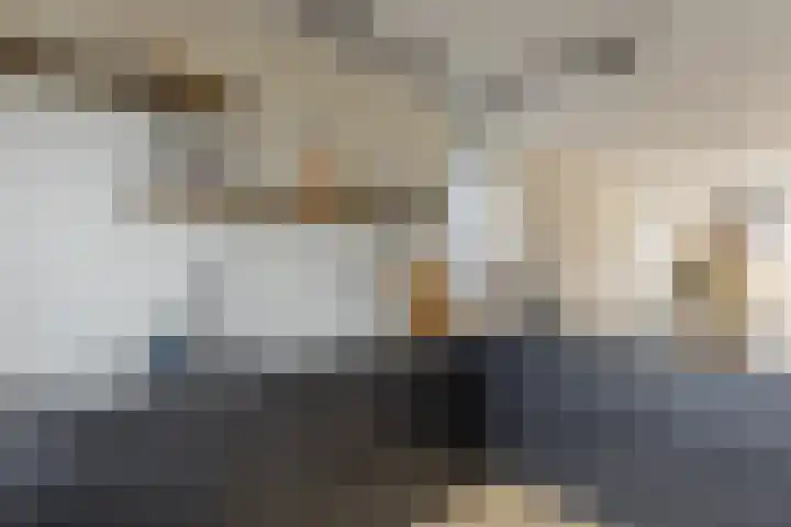Zeis 6 't Zand thumbnail 17