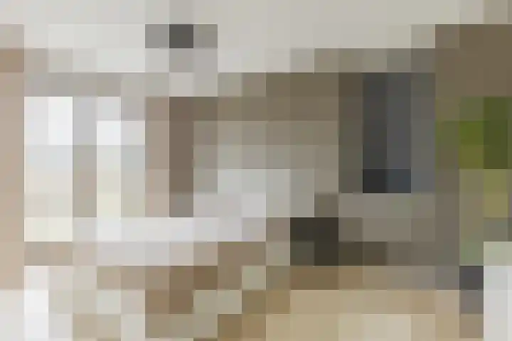 Zeis 6 't Zand thumbnail 21