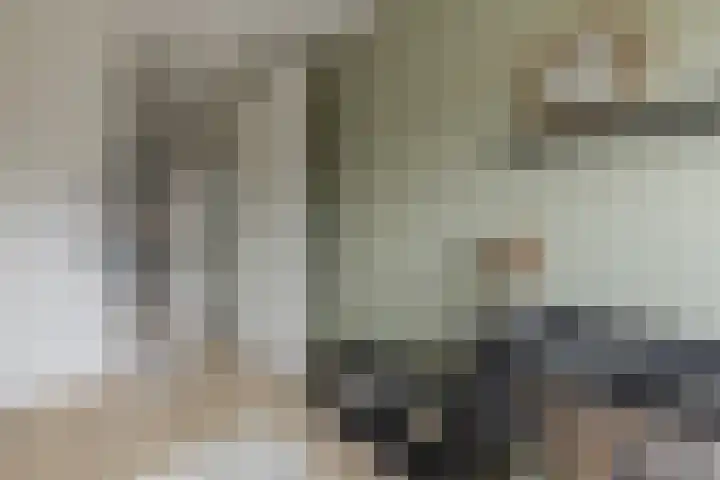 Zeis 6 't Zand thumbnail 26