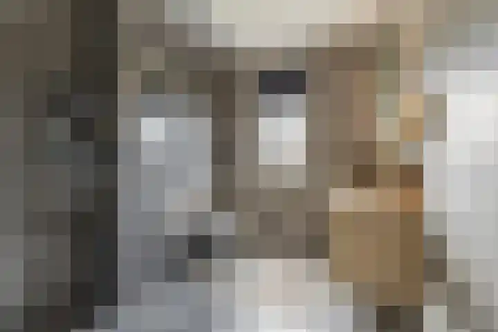 Zeis 6 't Zand thumbnail 27