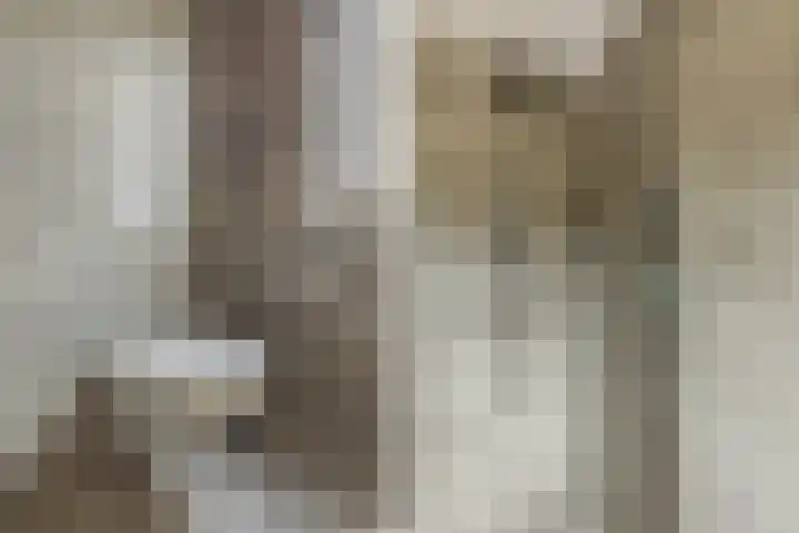 Zeis 6 't Zand thumbnail 28