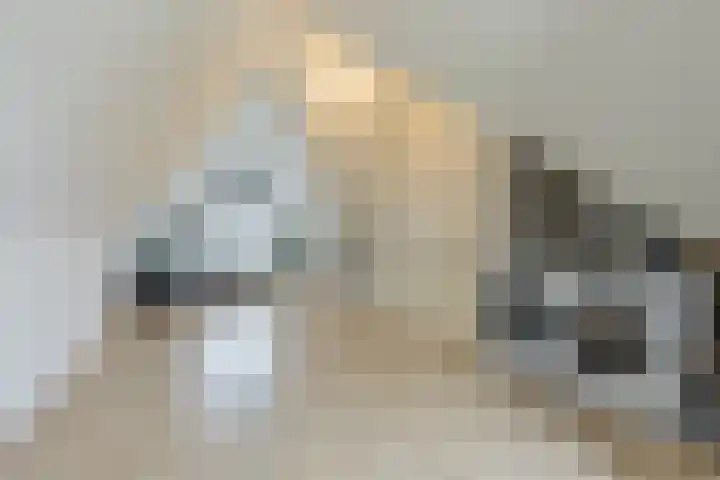 Zeis 6 't Zand thumbnail 31