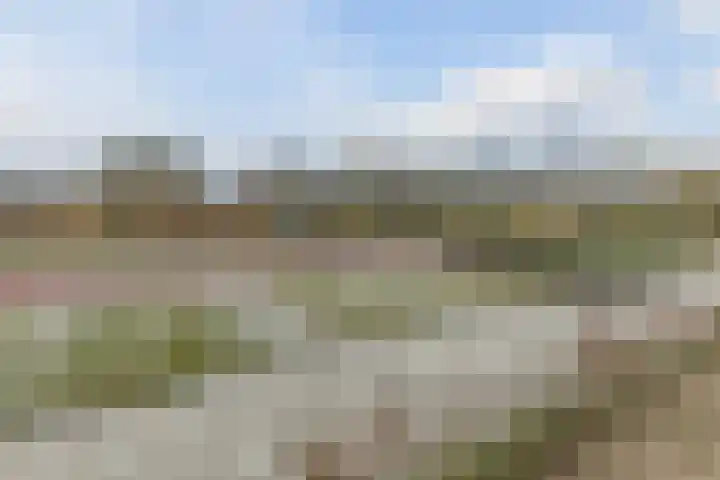 Zeis 6 't Zand thumbnail 48