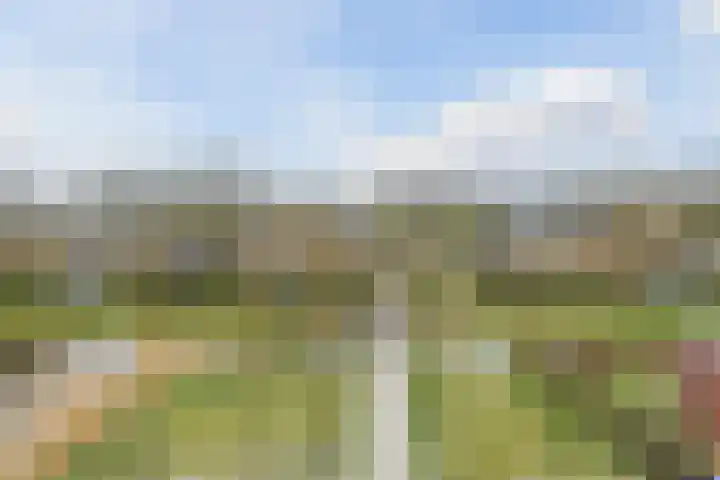 Zeis 6 't Zand thumbnail 51