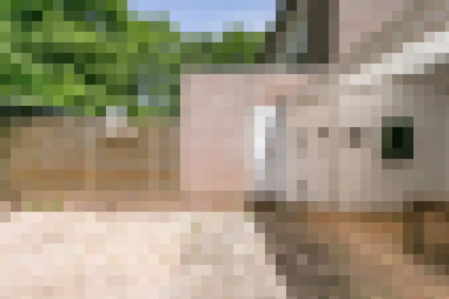 Zeishof 25 Heerlen thumbnail 26