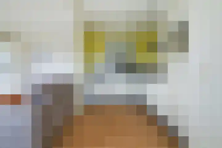 Zeislaan 133 Oosterhout thumbnail 15
