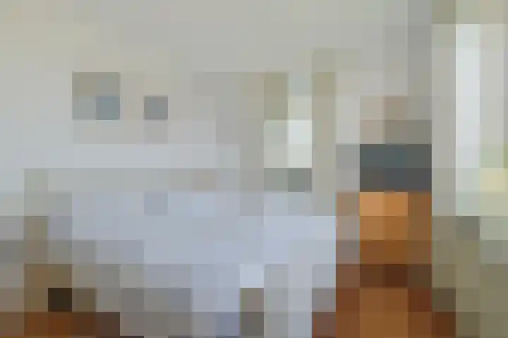 Zeislaan 133 Oosterhout thumbnail 17