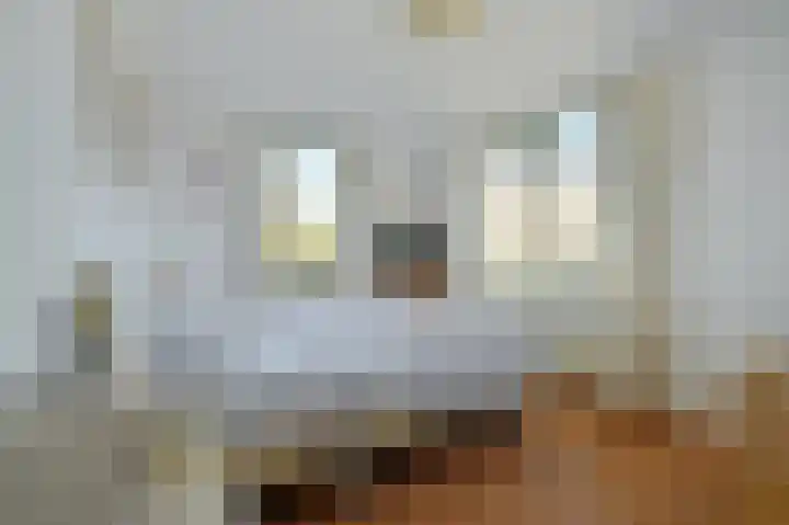 Zeislaan 133 Oosterhout thumbnail 18