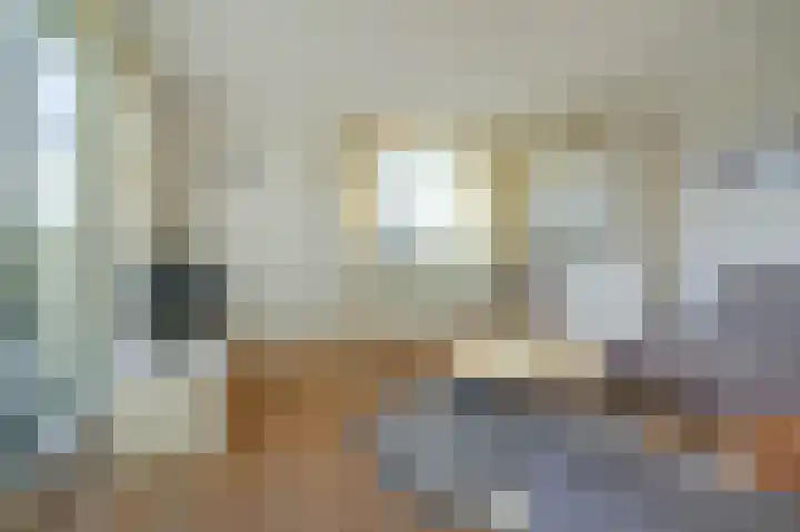 Zeislaan 133 Oosterhout thumbnail 4