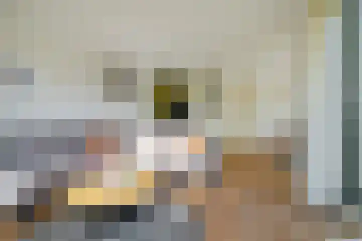 Zeislaan 133 Oosterhout thumbnail 7