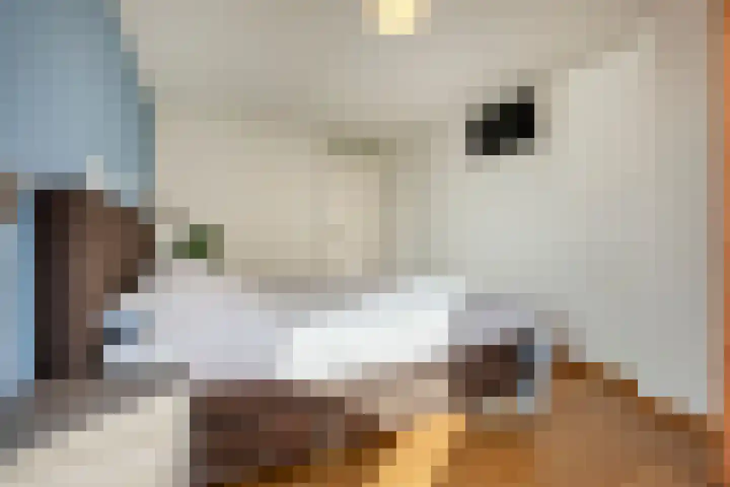 Zeislaan 71 Oosterhout thumbnail 31
