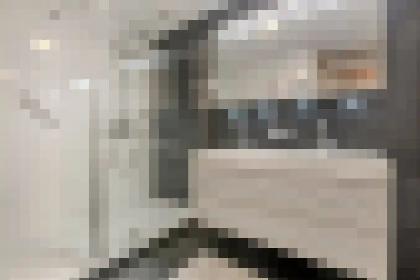 Zeislaan 71 Oosterhout thumbnail 32