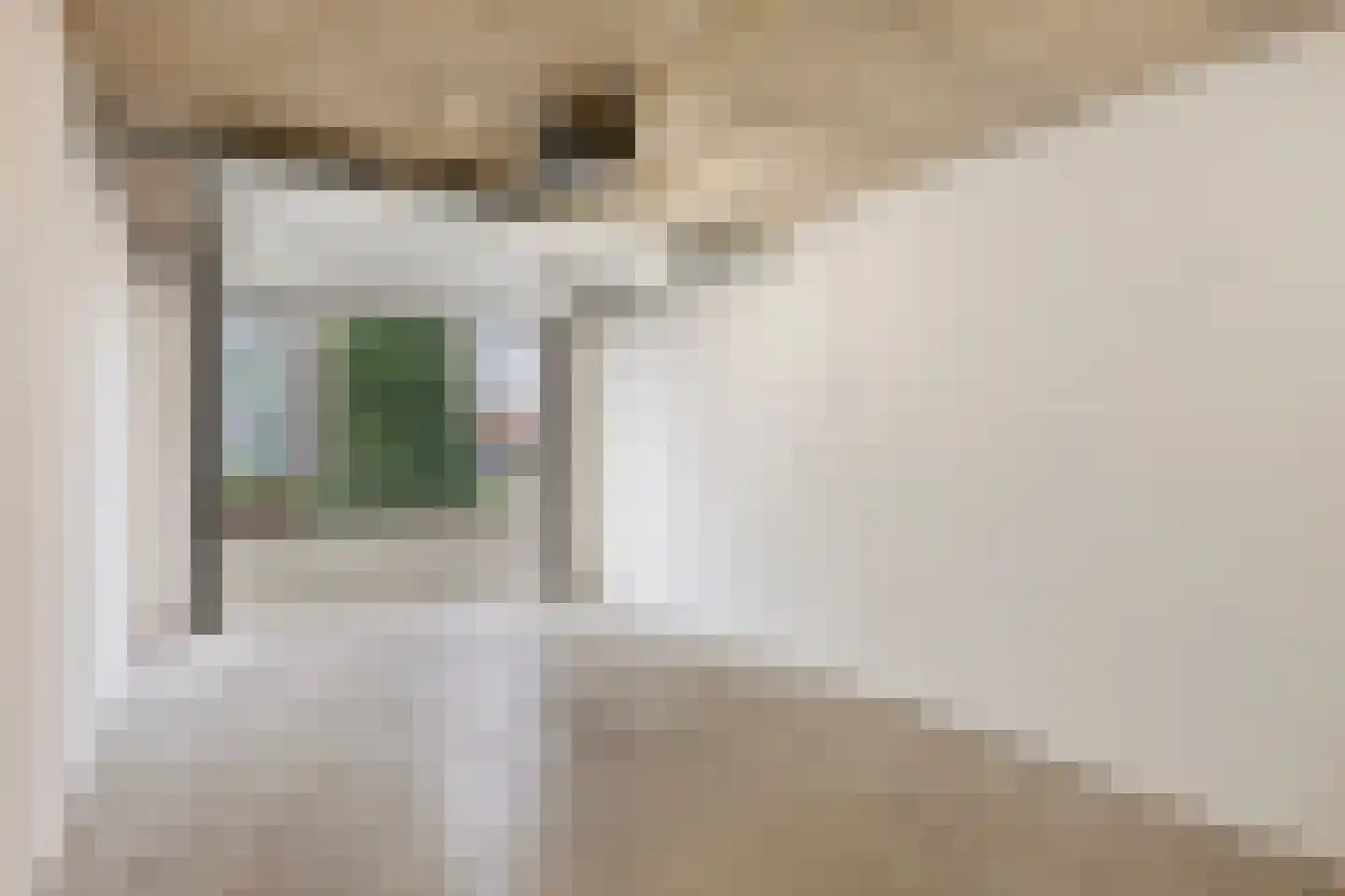 Zeislaan 79 Oosterhout thumbnail 6