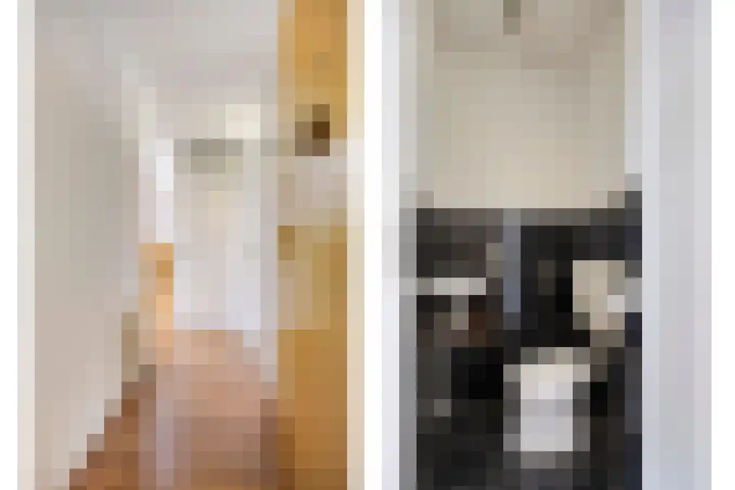 Zeislaan 79 Oosterhout thumbnail 8