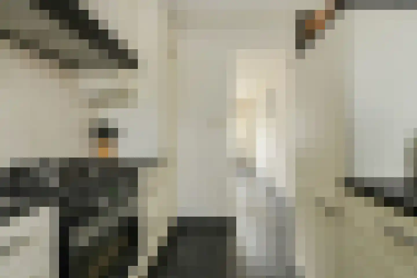 Zeislaan 8 Oosterhout thumbnail 12