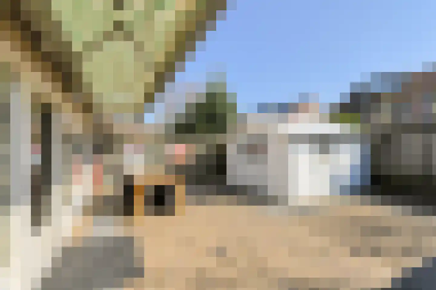 Zeislaan 8 Oosterhout thumbnail 32