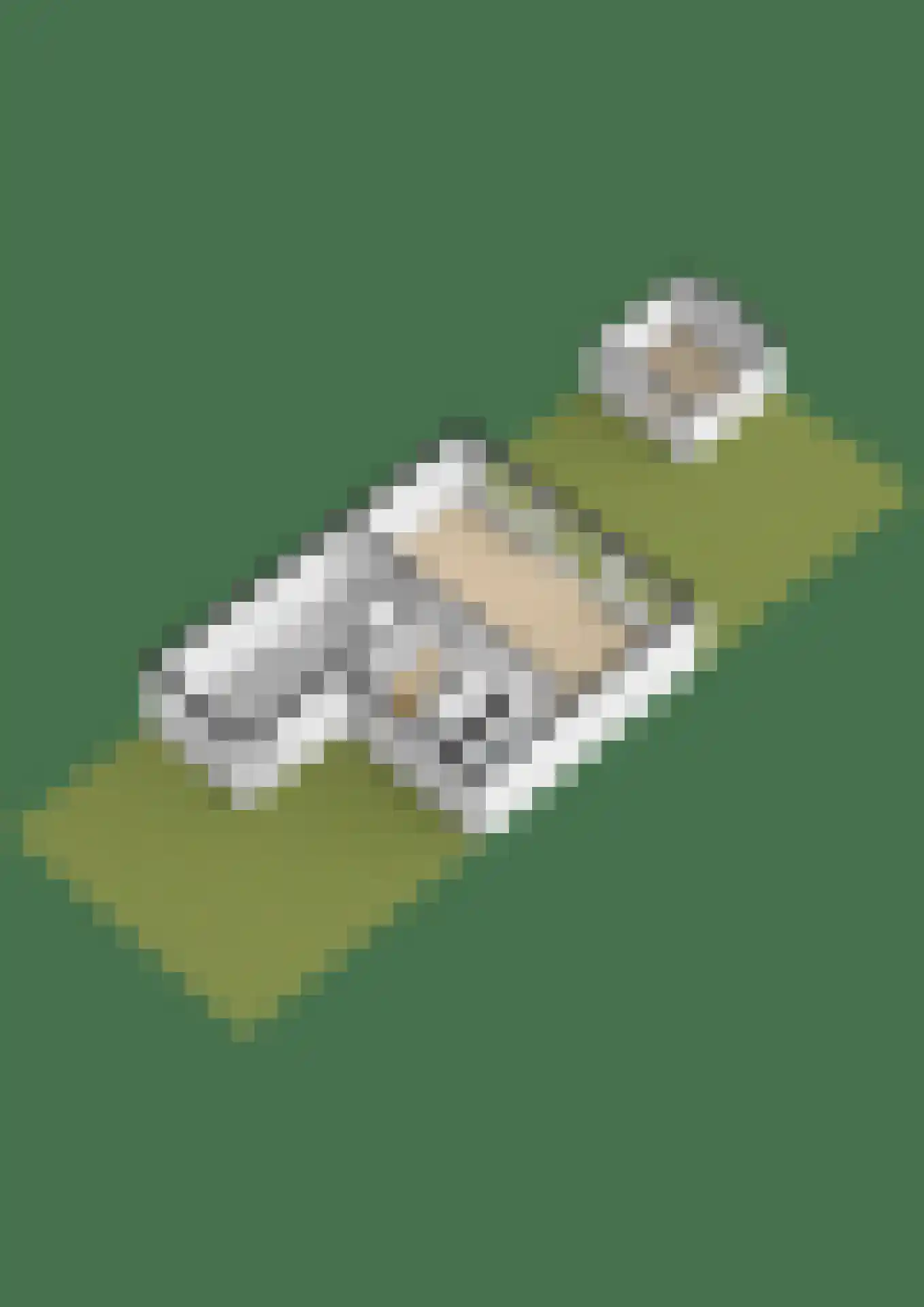 Zeislaan 8 Oosterhout thumbnail 42
