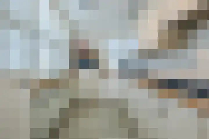 Zeislaan 99 Oosterhout thumbnail 19