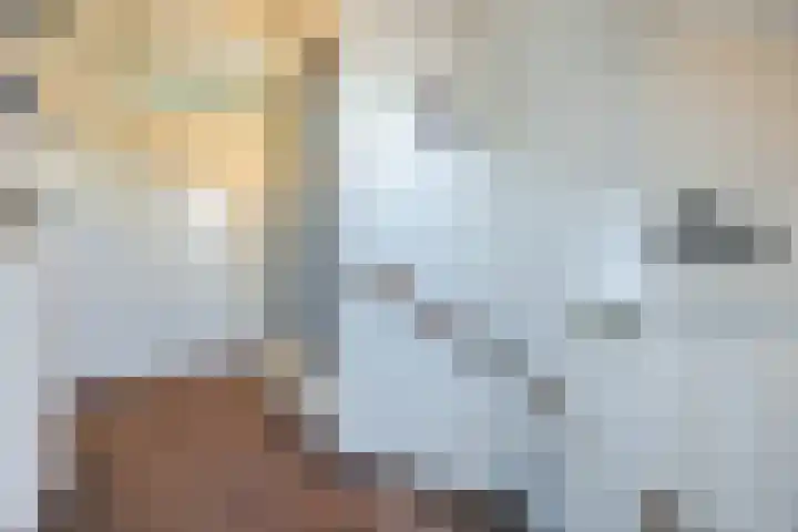 Zeislaan 99 Oosterhout thumbnail 23