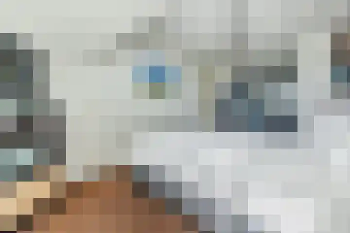 Zeislaan 99 Oosterhout thumbnail 27