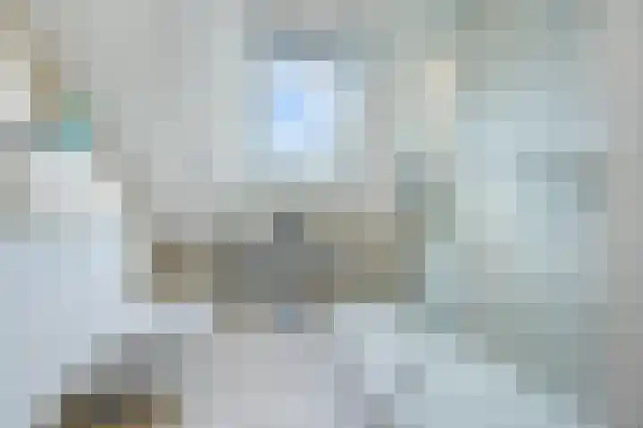 Zeislaan 99 Oosterhout thumbnail 31