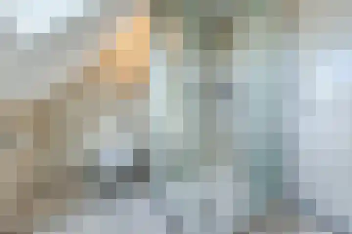 Zeislaan 99 Oosterhout thumbnail 32