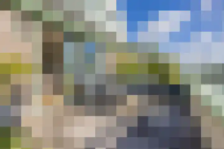 Zeislaan 99 Oosterhout thumbnail 34