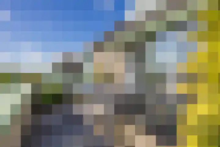 Zeislaan 99 Oosterhout thumbnail 35