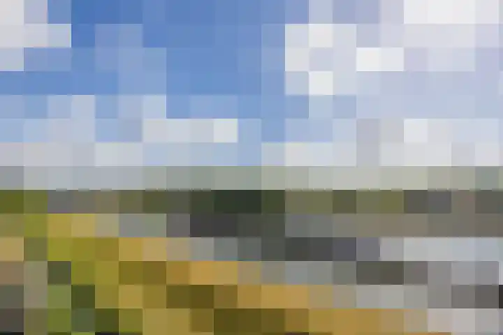 Zeislaan 99 Oosterhout thumbnail 37
