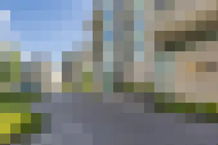 Zeislaan 99 Oosterhout thumbnail 40