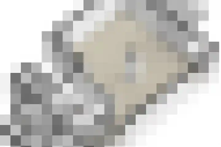 Zeislaan 99 Oosterhout thumbnail 45