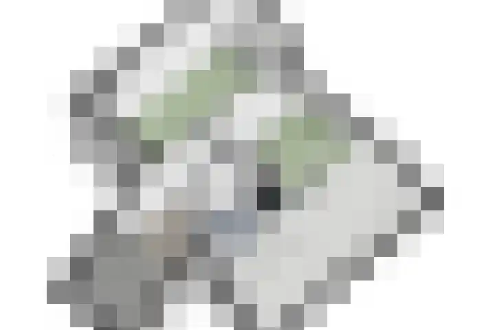 Zeislaan 99 Oosterhout thumbnail 46