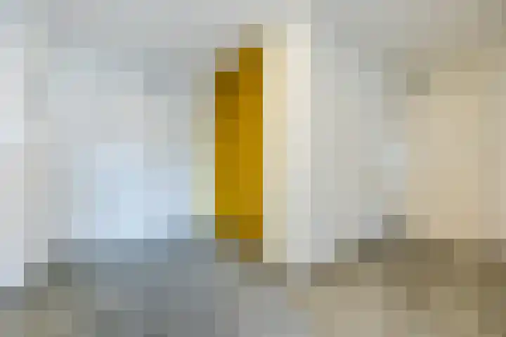 Zeislaan 99 Oosterhout thumbnail 6