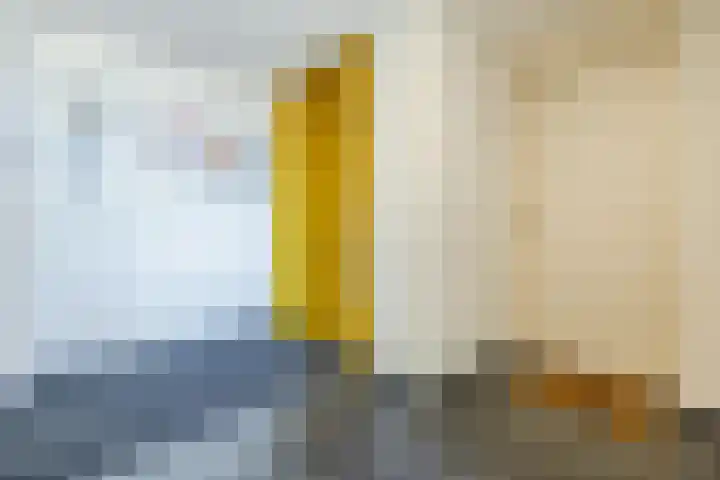 Zeislaan 99 Oosterhout thumbnail 7